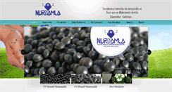 Desktop Screenshot of nurdamlaplastik.com